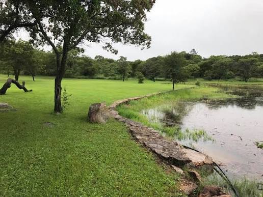 Hillside Dams Conservancy. Gallery Showcase Image