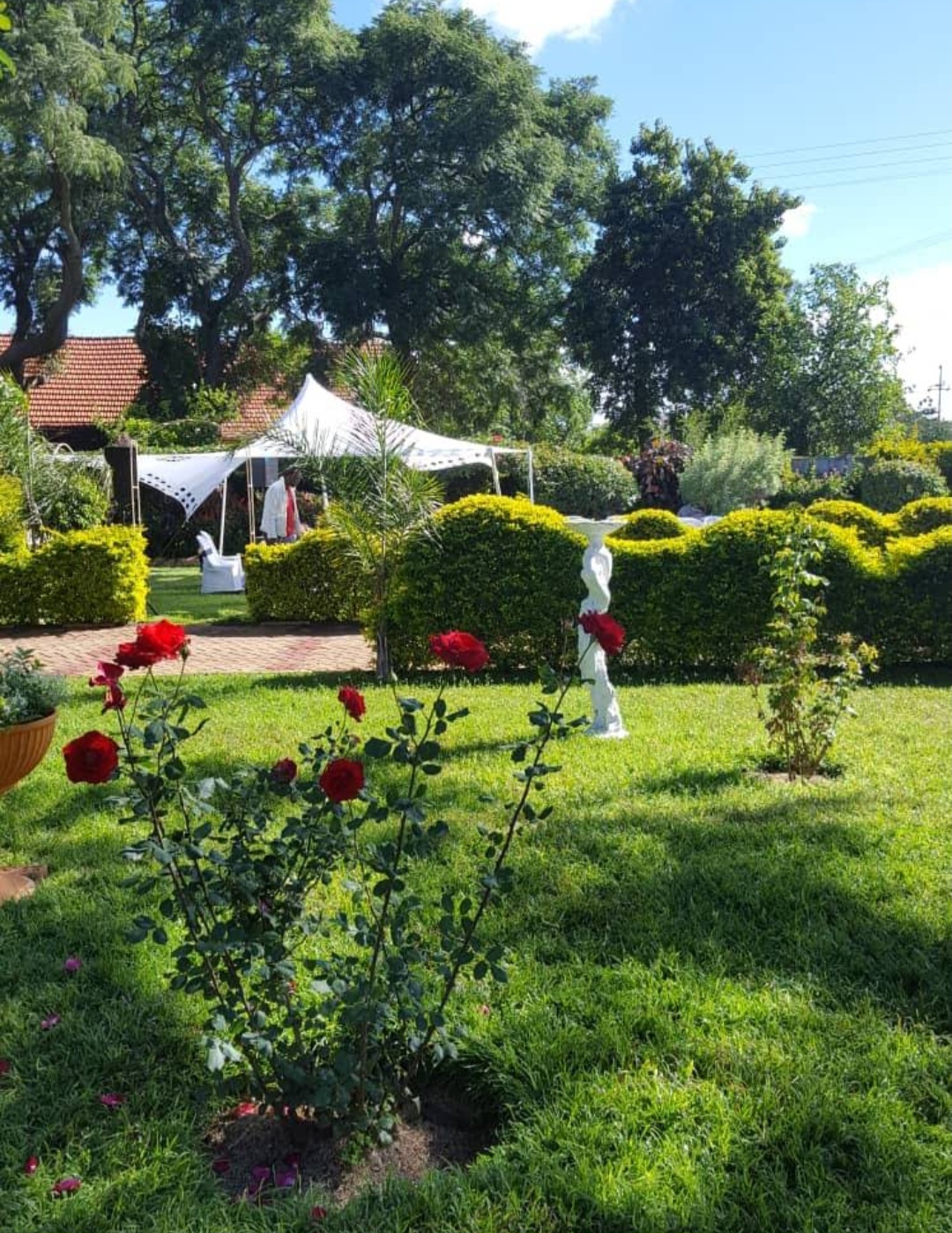 Linden Lane Gardens Image