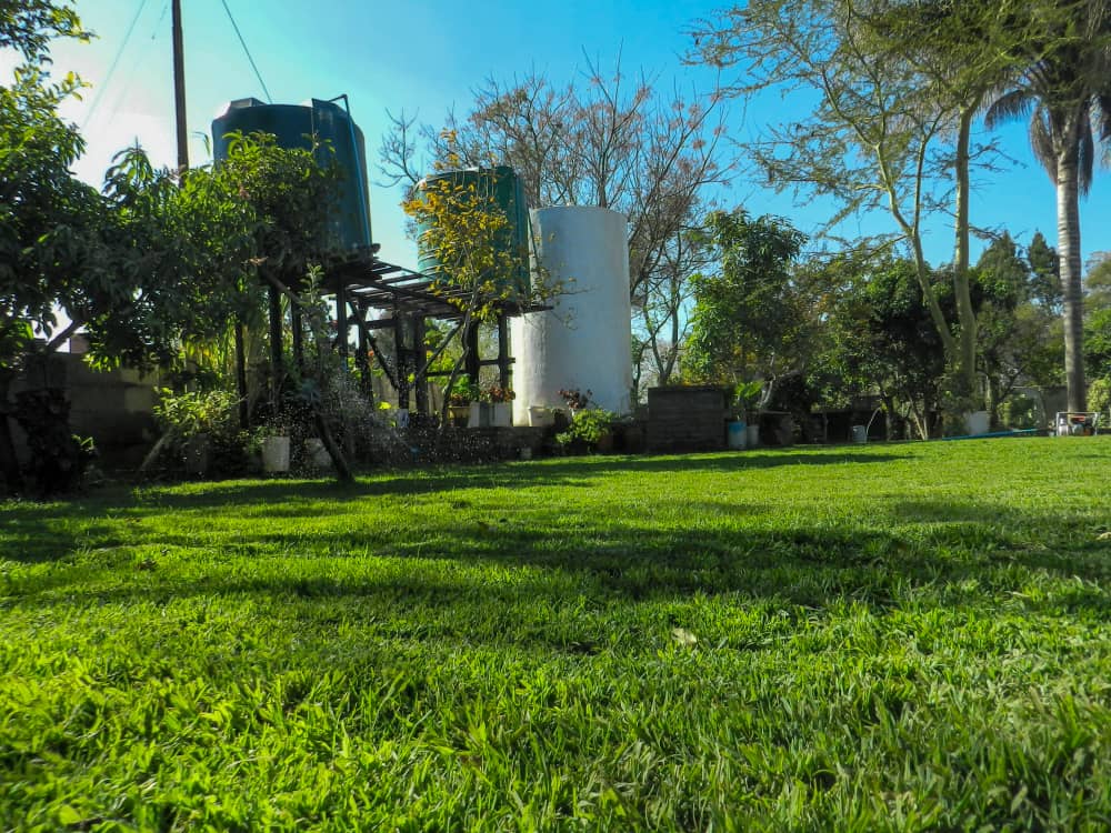 New Life Gardens Image