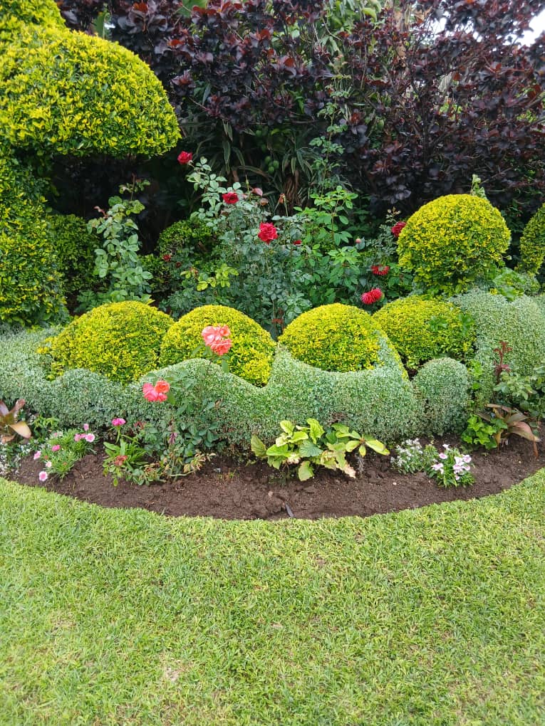 Tenclif Gardens Image