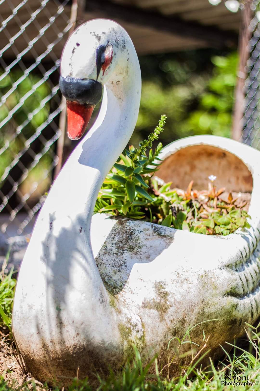 Karibu Gardens  Image