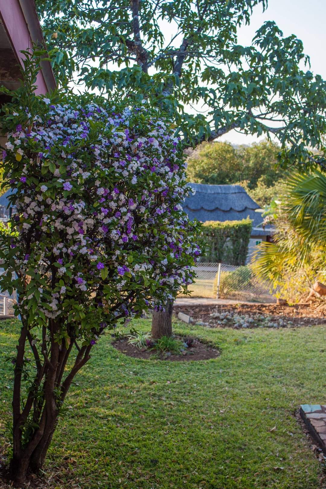 Karibu Gardens  Image