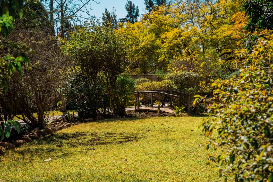 Lavinia Gardens  Image