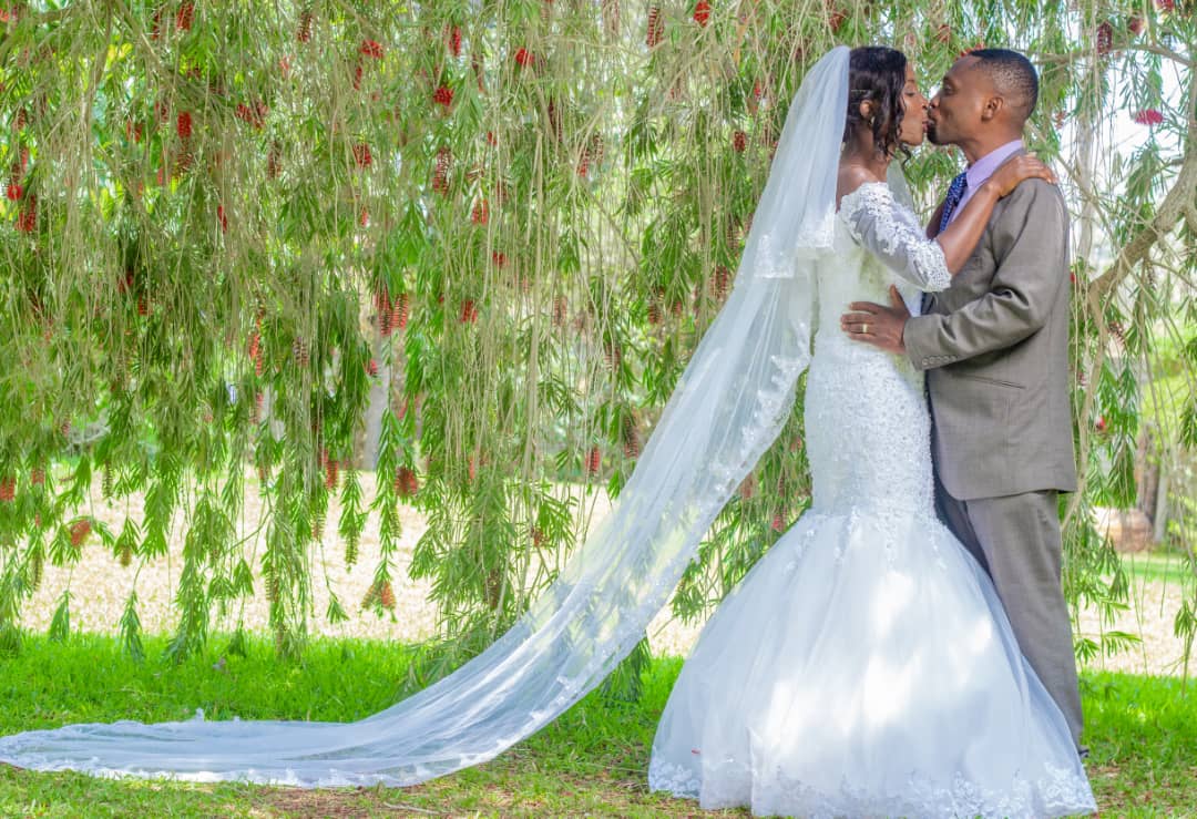 Lavinia Gardens  Image