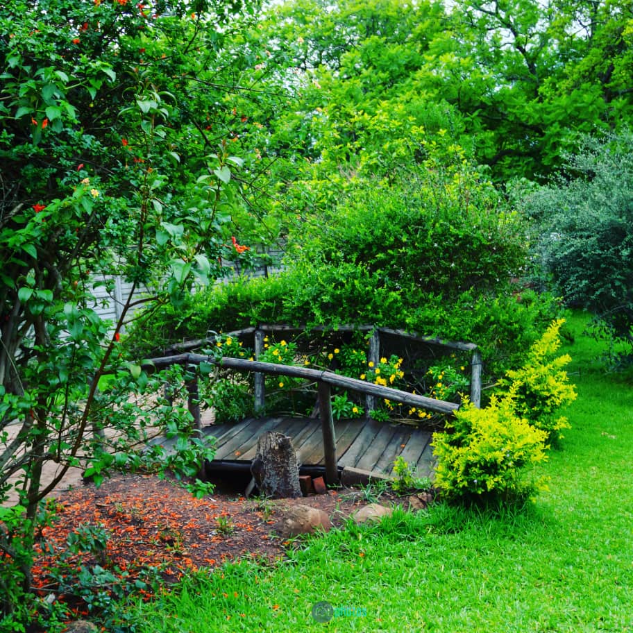 Lavinia Gardens  Image